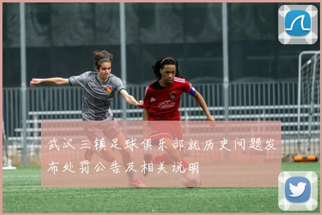 武汉三镇足球俱乐部就历史问题发布处罚公告及相关说明