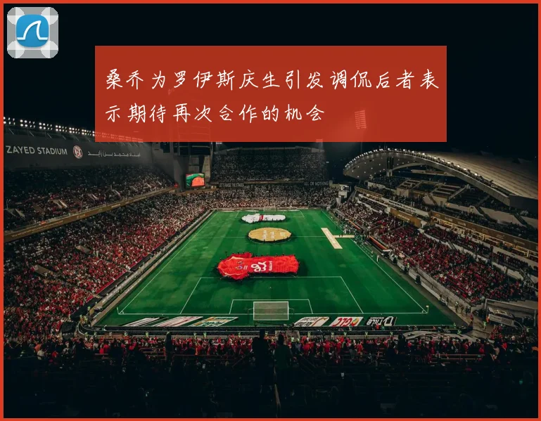 桑乔为罗伊斯庆生引发调侃后者表示期待再次合作的机会
